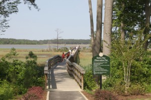 Founders Pointe Pier