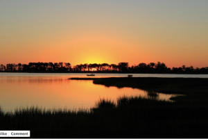 Jeannie Landis Sunset