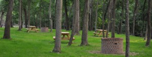 Park area with picnic tables