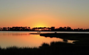 Jeannie Landis Sunset lores