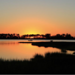 Jeannie Landis Sunset Lores